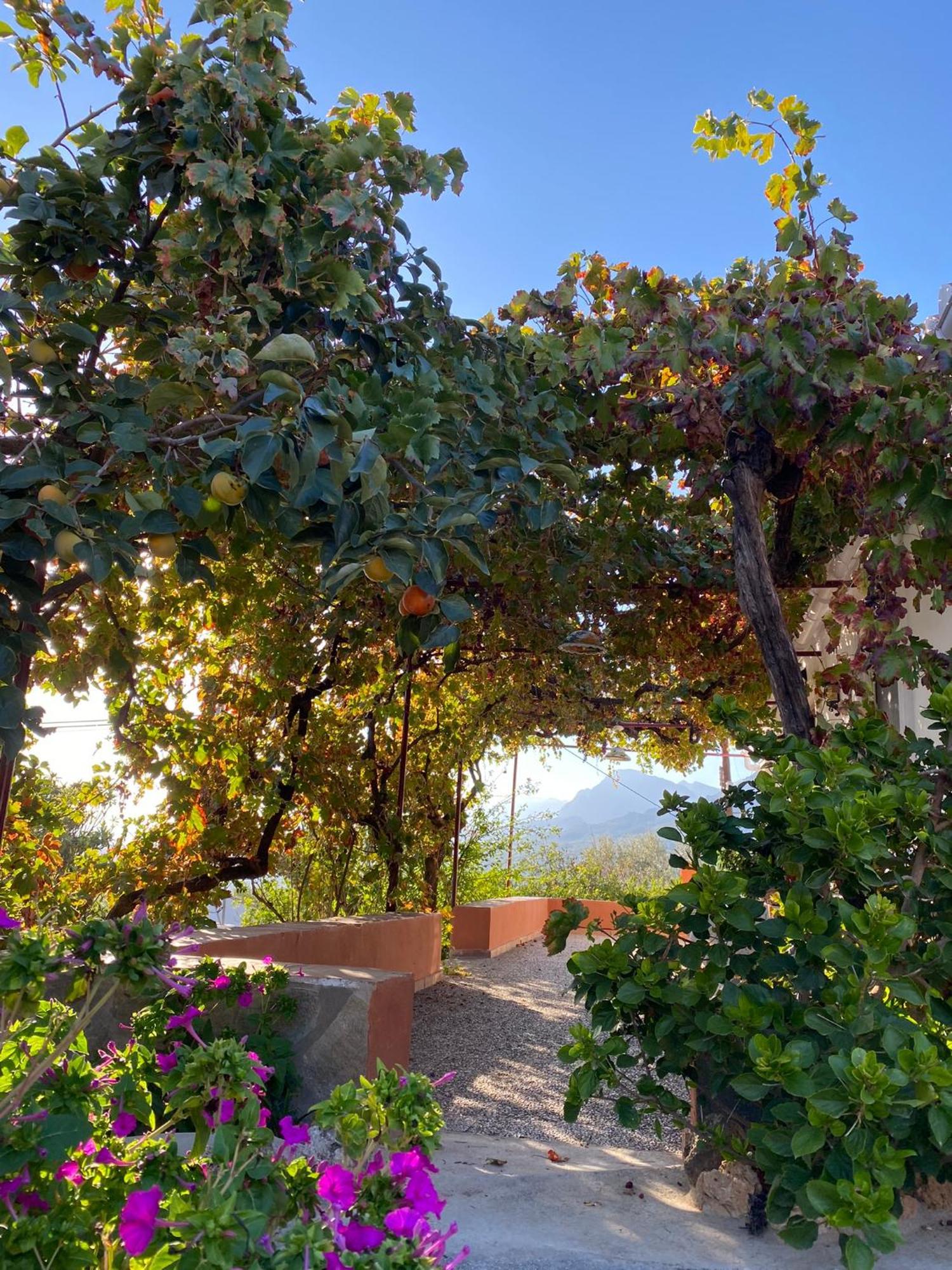 Casa Rural Antonio Y Esperanza Periana Exterior foto
